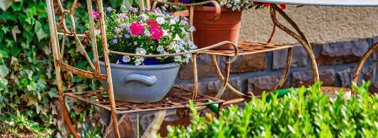 Neighbour Takes Over Garden