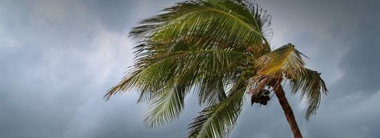 QLD: Strata Insurance & Cyclone Cover in North Queensland