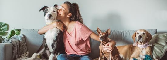 QLD: Renting with pets in a community titles scheme