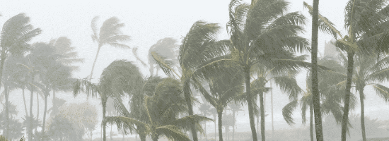QLD Self-Insuring Cyclone Cover – North Queensland