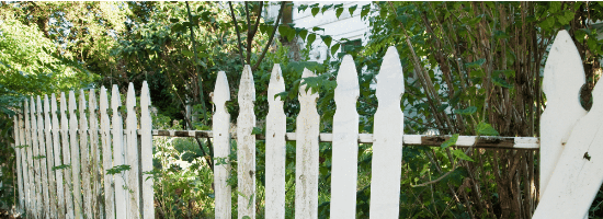 SA Replacing the boundary fence